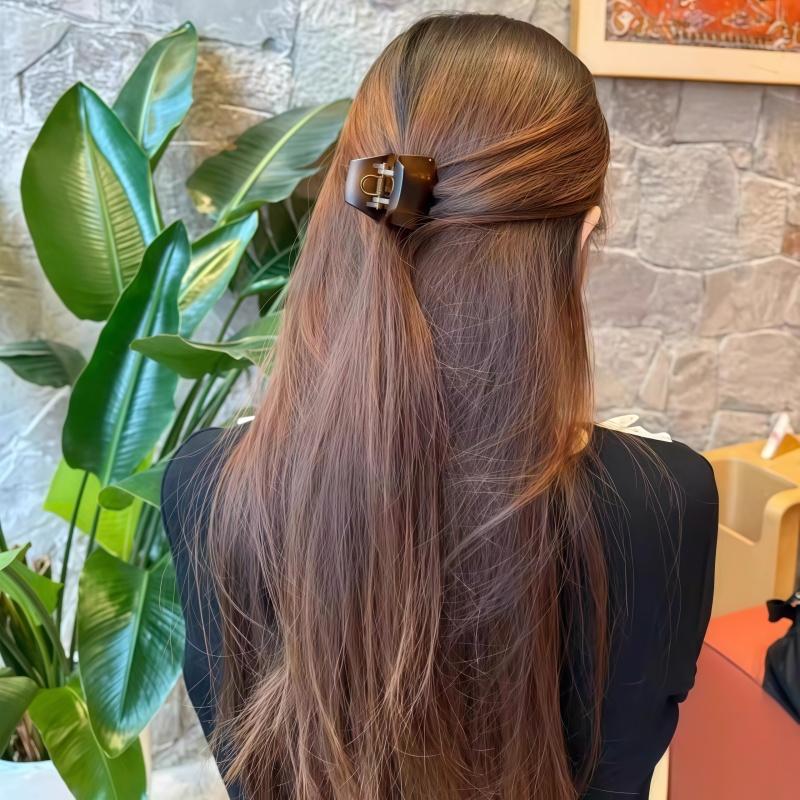 High Ponytail Anchor Hair Clip, New Shark Clip, Back of The Head Hair Accessory, Long-lasting Styling, Fluffy Hair Volume