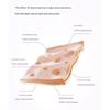 BIOHEAL BOH Probioderm™ Sérum Remodelant au Collagène 30ml (3 Options)