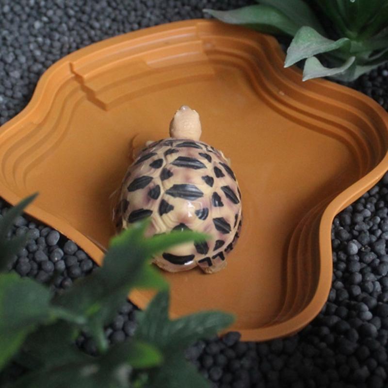 Reptiles Animal Feeding Plate Durable ABS Construction Shallow Water Dish For Turtles Lizards