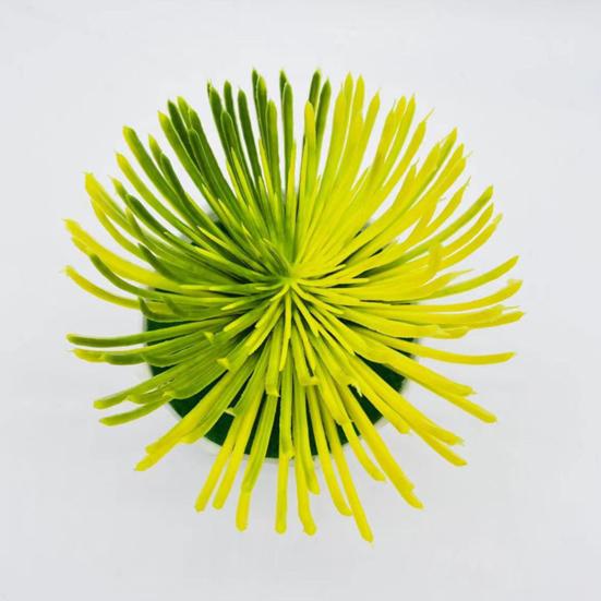 Plante en pot de simulation attrayante, longue durée, 2 couleurs, résistante aux UV