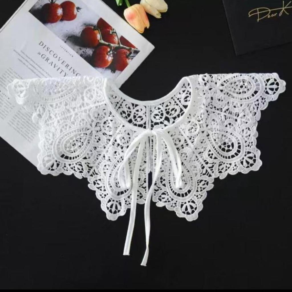 Vintage Lace Embroidered Fake Collar Hollow Out White Doll Collar Shawl Wrap Girls Detachable Versatile Lace False Blouse Collar