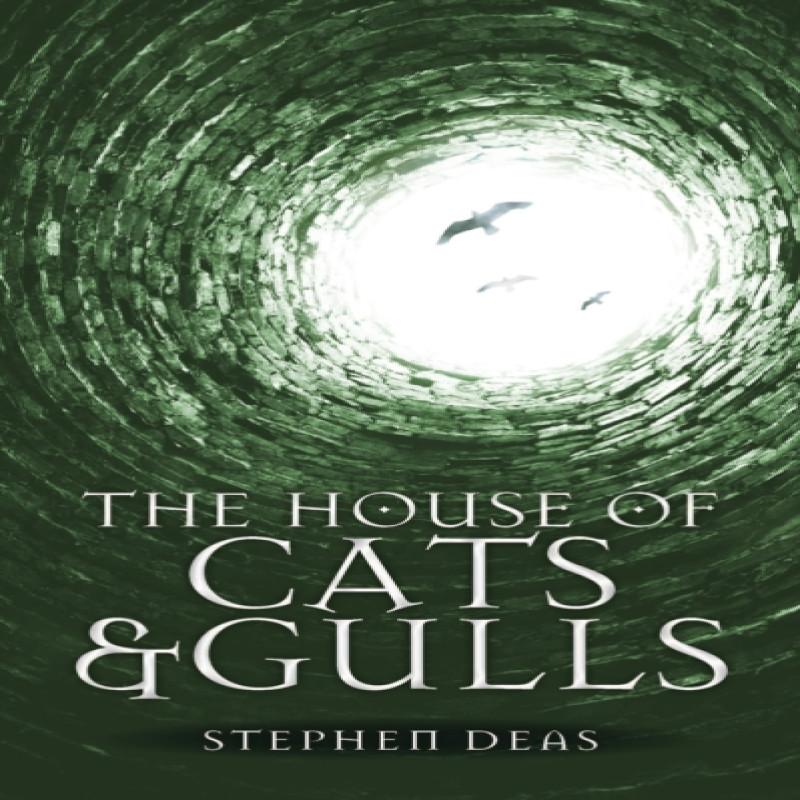 The House of Cats and Gulls by Stephen Deas Paperback Book 9780857668783