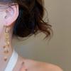 18K Gold-Plated Zircon Pearl Tassel Earrings for Women - Elegant High-End Fashion Jewelry