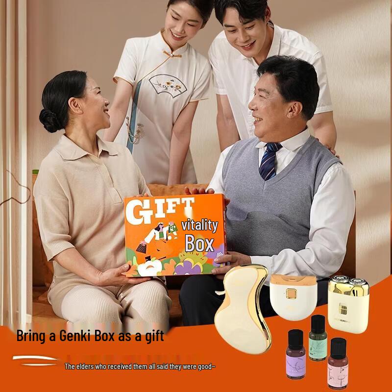 Hezheng Multifunction Personal Care Gift Box CN plug (adapter included)