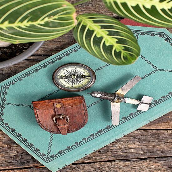 Bussola del vagabondo