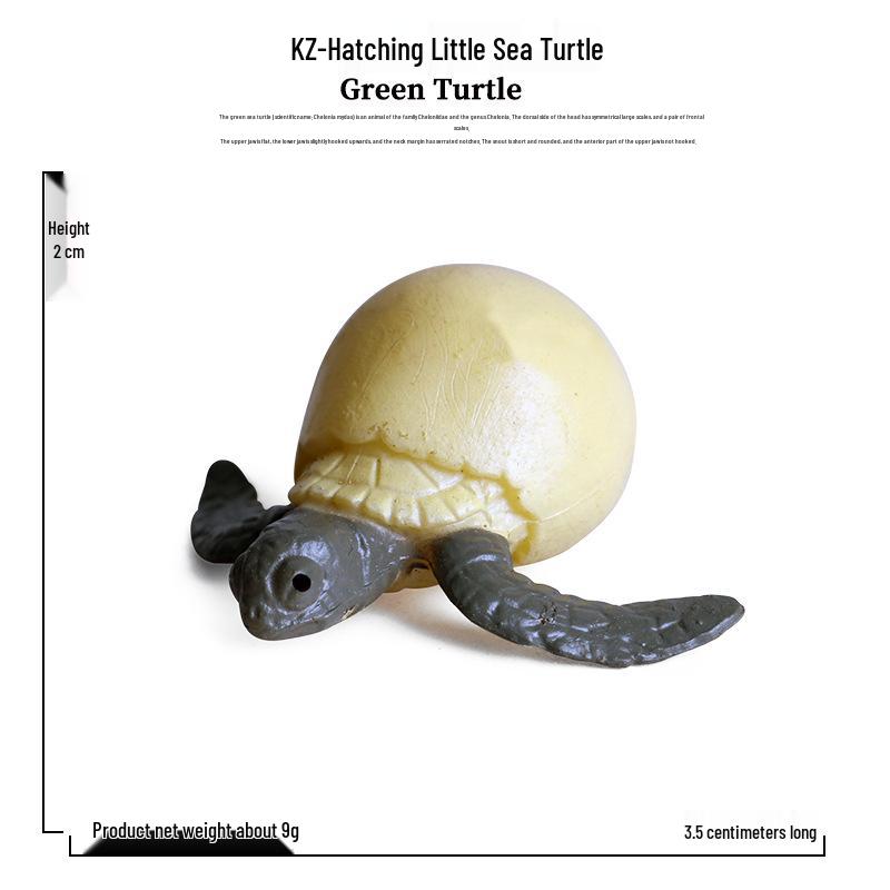 Cross-Border Marine Life Toy Models: Sea Turtle, Galapagos Tortoise, Alligator Snapping Turtle, Amphibian Animals