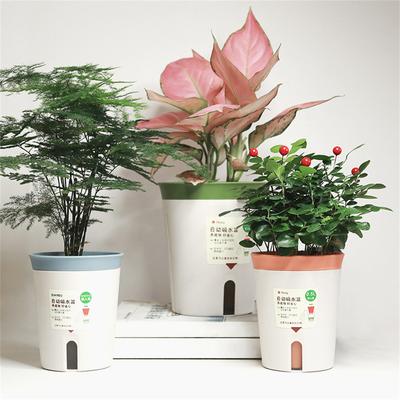 Automatic Self Watering Flower Pot Double Layer Plastic Self Watering Planter Put In Floor Irrigation For Garden Indoor Home Dec