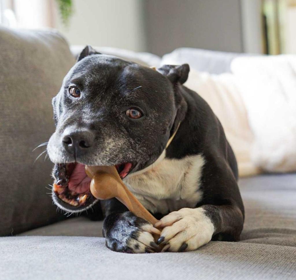 Custom Indestructible Interactive Puzzle Wishbone Dog Chew Toy for Aggressive Chewers