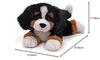 GUND Randall Dog 6048551
