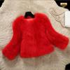 Crew neck thin imitation fur jacket women's imitation fox hair cotton long-sleeved short slim jacket