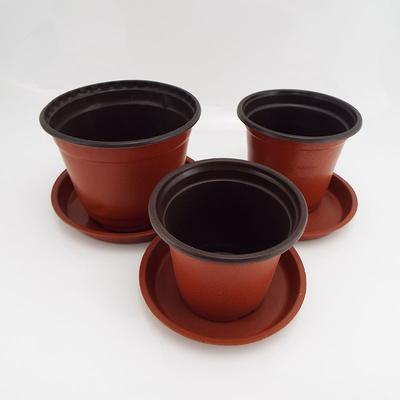 20 Stück Mini-Pflanzgefäß-Wachstumsbox aus Kunststoff, rund, Blumentopf-Tablett, Pflanzenzucht-Halter, Kindergarten-Blumentopf für Sukkulenten-Werkzeuge