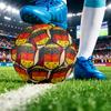 Germany Football Printed Size 5 Soccer Ball Wear Resistant Standard Adult Training Football Fan Gift for Indoor Outdoor Match Sports