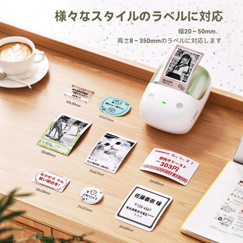NIIMBOT B2Pro Label Writer, Label Maker, Smartphone Compatible, Thermal Label Printer, Bluetooth Connection, 300 DPI, Green