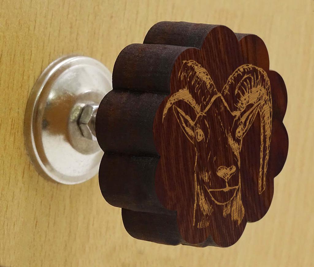 IBA Indianbeautifulart Brown Engraved Knobs Furniture Knobs Cabinet Drawer Pull Pack