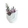 European Style Character Plant Pot Aesthetic Hydroponic Flower Holder Flower Pot  Dried Flower