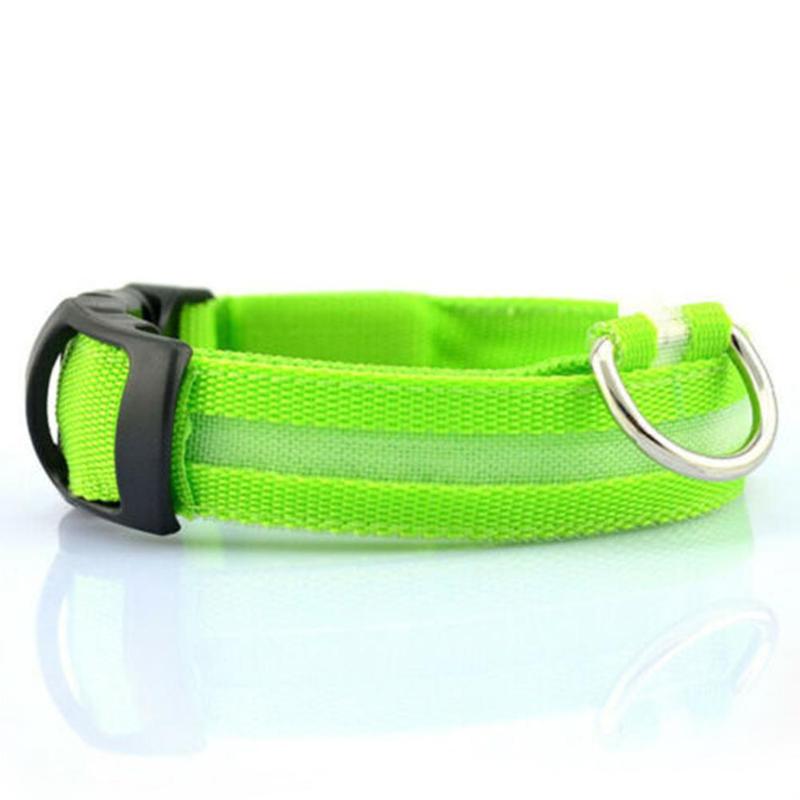 dog collar safety light