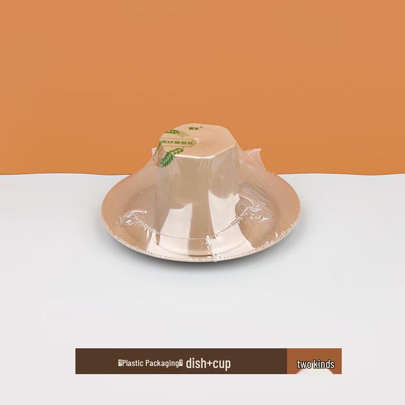 

Shi Xun Disposable Tableware Set