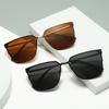 Trendy European & American Large Frame Street Style Polarized Metal Sunglasses for Outdoor Casual Wear