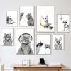 Pet Care Art Prints Black White Photography Posters Cat Dog Canvas Painting Animal Clinic Wall Pictures Veterinary Office Decor