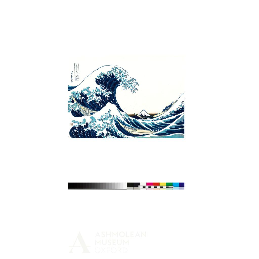 Ashmolean Museum Unisex Adult Wave T-Shirt