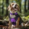 Reflective Dog Collar Sturdy Adjustable Pets Collar For Medium Large Dogs Soft Neoprene Padded Nylon for Medium Large Dogs