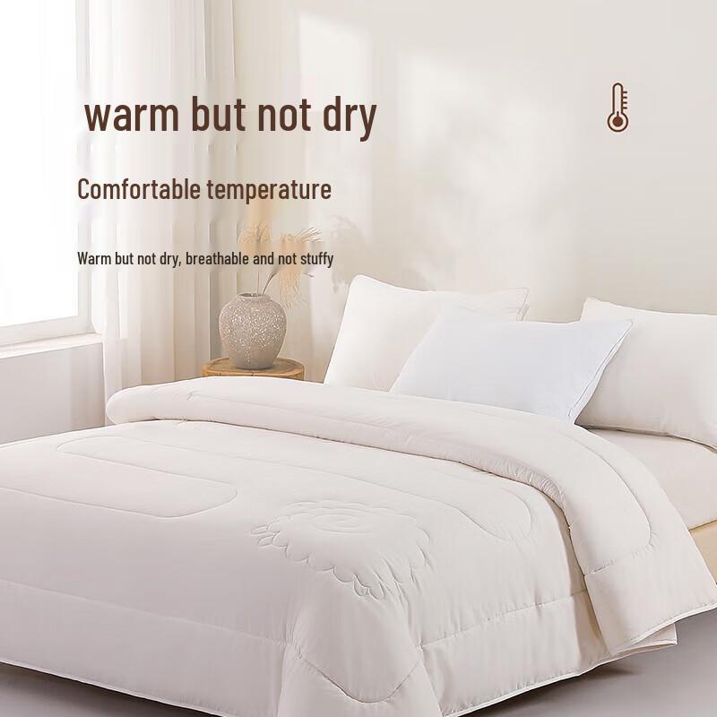MengJie Silk Whisper Anti-Bacterial Silk & Australian Wool All-Season Duo Duvet