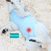 Shirt Weaning Anti-Licking Surgery Recovery Suit Pet Clothes Cat Vest Surgical Rehabilitation