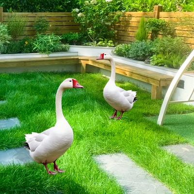 Bahçe ve Çevre Düzenlemesi – Bahçe süslemeleri