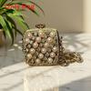 Acrylic Mini Purse With Embellished Flowers And Sparkling Rhinestones For Daily Fashion