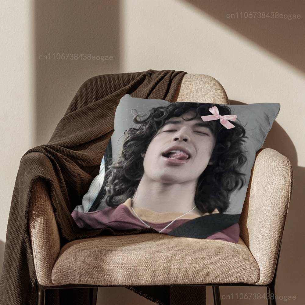 Handsome C-Conan G-Gray Pillow Case For Room Sofa Cushion Cover Suitable For Home Bedroom Decoration And Protector