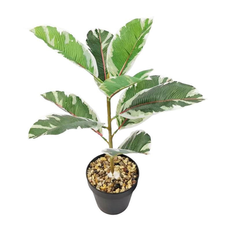 Desktop Rubber Tree & Aspidistra Potted Plant - Bionic Green Landscape Ornament