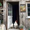 Rustic Garden Sign - "I Just Want To Work In My Garden, Hang Out with My Chickens" -8x12 Inch Coop Decor for Poultry Enthusiasts