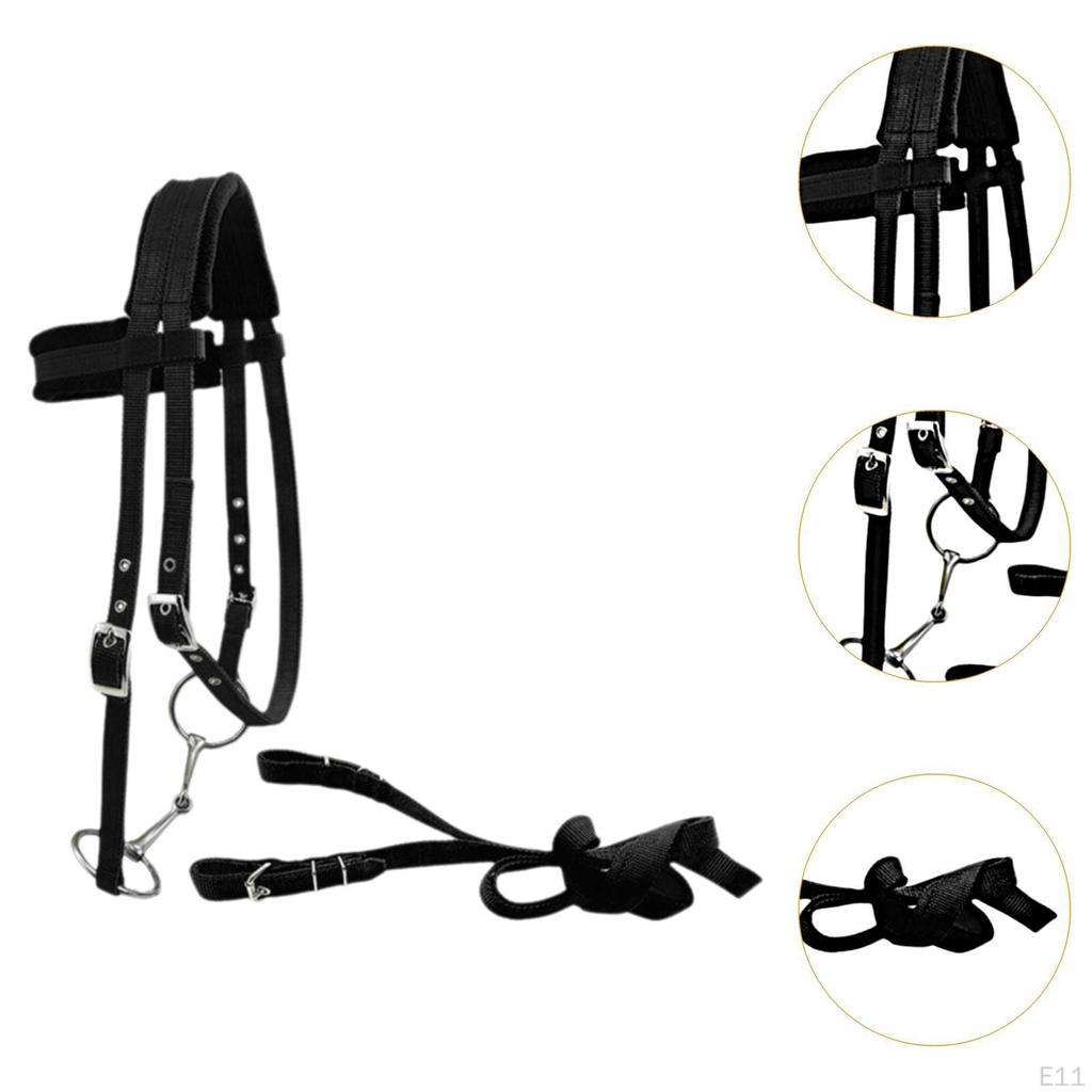Horse Bridle with Rein And Leading Rope Equestrian Gear for Comfortable Use