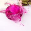 1Pc Headwear Hair Accessories Fascinator Hat Feather Flower Girl Pearl Beaded Decor Hair Clips Children's
