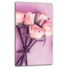GLASS PROTECTIVE PLATE FOR INDUCTION 30x52 ROSES