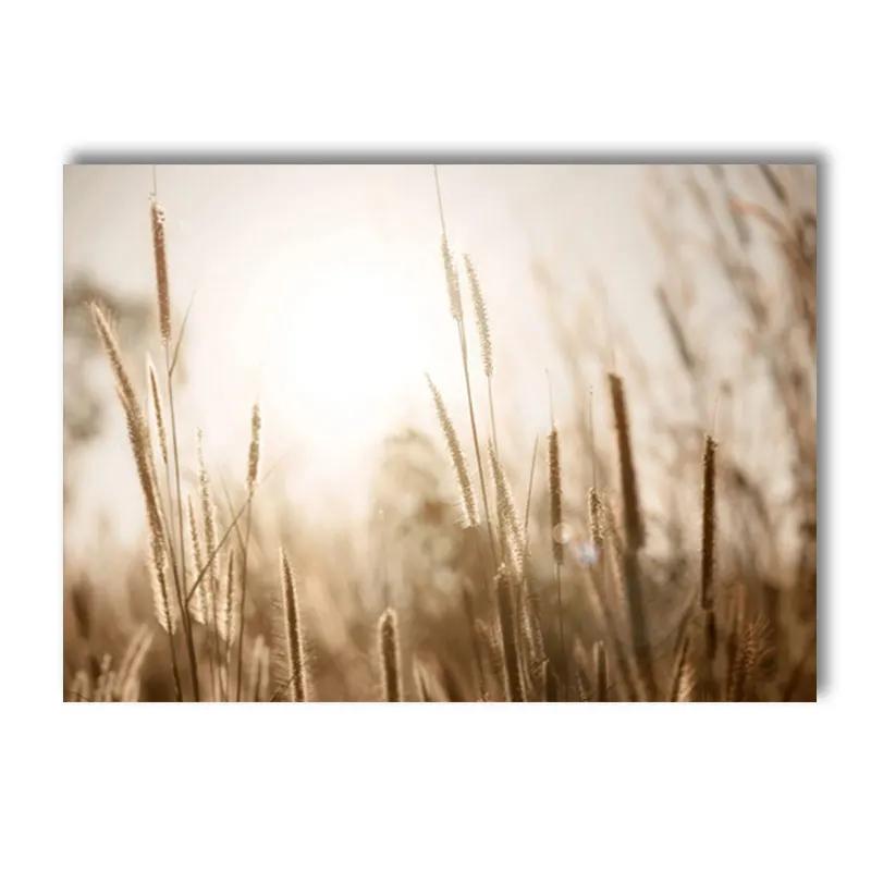 Beige Landscape Posters Sea Beach Bridge Canvas Picture Hay Reed Wall Art Flower Print Painting Nordic Poster Living Room Decor