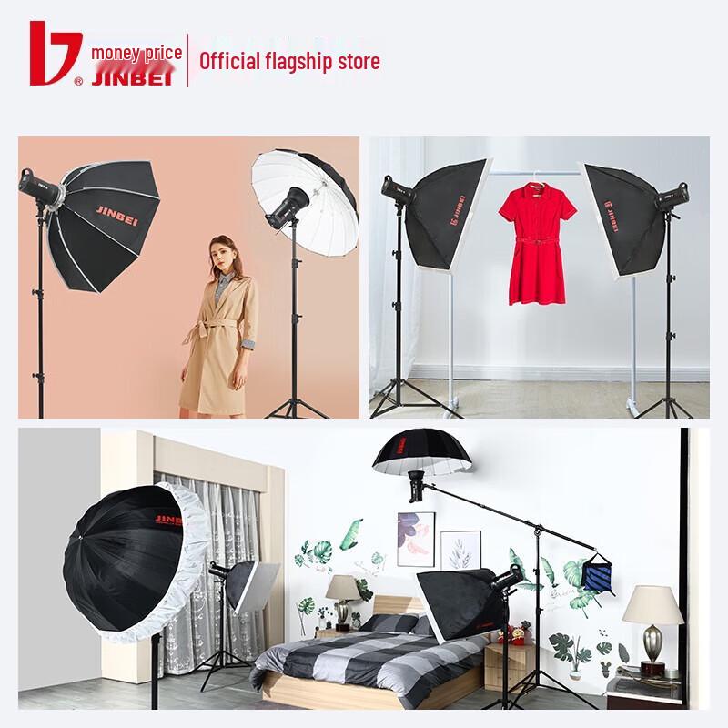 JINBEI DMII-600W Studio Flash Light Kit
