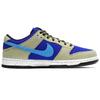 Nike Sb Dunk Low 'ACG Celadon' Skateboard Shoes BQ6817-301