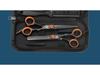Professional Haircut & Thinning Shears Set for Home Use