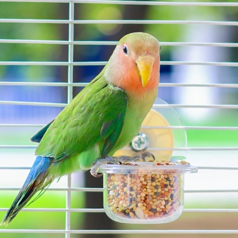 Bird Bowl Training Cup Feeding Bowl Parrots Cage Toy for Cockatiels Budgies Parrots Gym Toy Feeding Cup