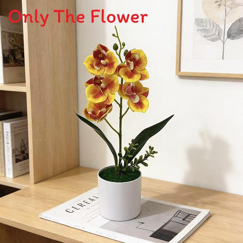 No Ip Artificial Orchid Plant With Plastic And Soft Gel For Home Decor And Photography Props