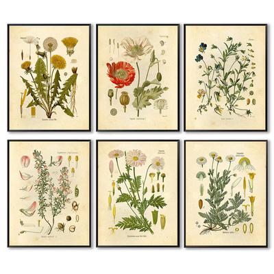 Vintage Wild Plant Canvas Paintings Botanical Flower Study Peony Poster and Print Wall Art Picture for Living Room Decor Cuadros