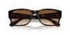 Sunglasses RB4388 HAVANA 58 Ray-Ban