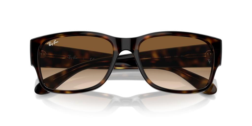 Sunglasses RB4388 HAVANA 58 Ray-Ban