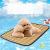 Dog Double-sided Summer Mat Teddy Summer Sleeping Mat Dog Kennel Cat Kennel Summer Ice Mat