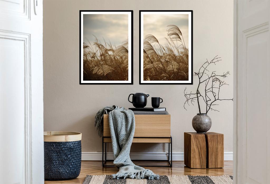 Picture Posters In a Frame 53x73cm Diptych Set of 2 Pictures Grass Beige Boho P2178