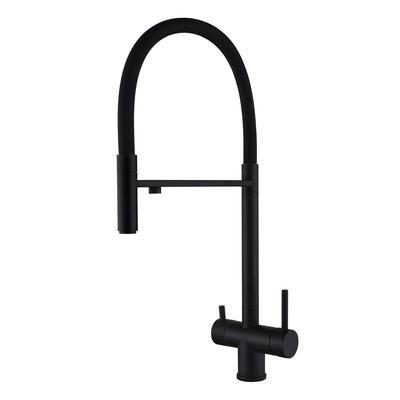 WEZER TOP4-01-BLACK Kitchen Faucet with Water Filter Connection