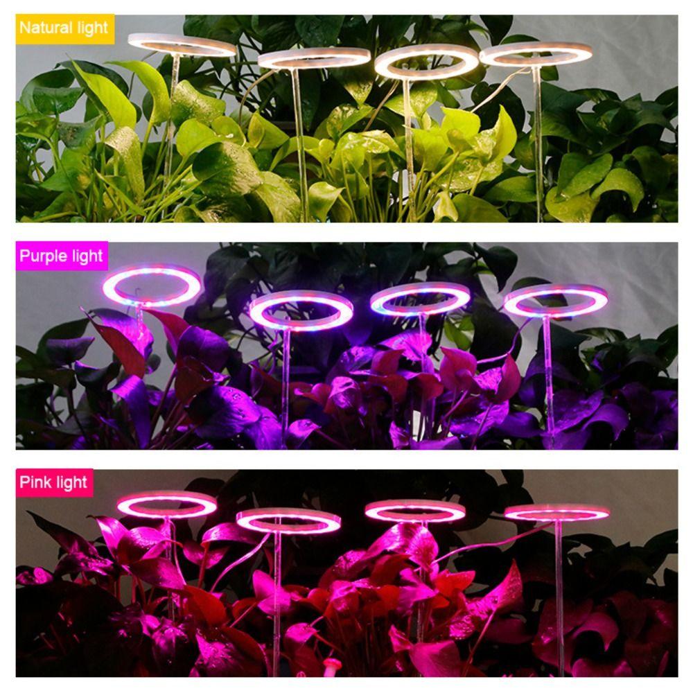 5V Full Spectrum Flower For Indoor Plants Herb Potted Ring Light Growing Lamp LED Light Plant Light