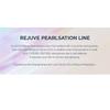 KLAVUU - Rejuve Pearlsation Multi Pearl Peptide Cream