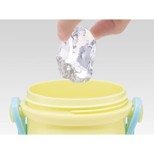 Skater Water Bottle, 480ml, Crayon Shin-chan 23, for Children, Antibacterial Plastic, Made in Japan, PSB5SANAG-A